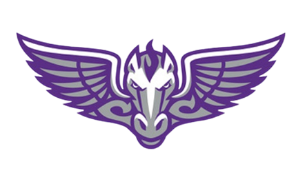 Cactus Canyon Champions Football