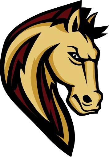 Shadow Ridge Stallions 